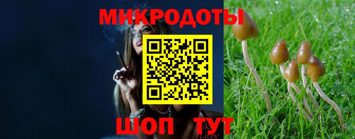 Псилоцибиновые грибы GOLDEN TEACHER Карасук