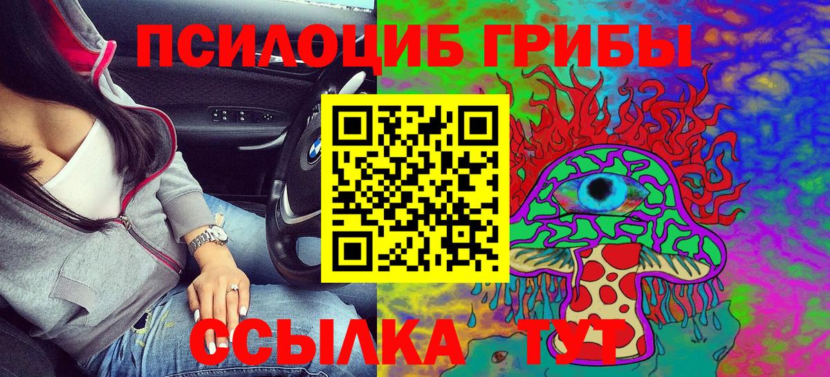 Карасук  Галлюциногенные грибы Psilocybe  Вход с VPN 